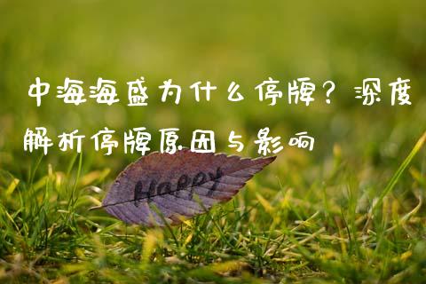 中海海盛为什么停牌？深度解析停牌原因与影响_https://m.kuaijiepai.net_债券投资_第1张