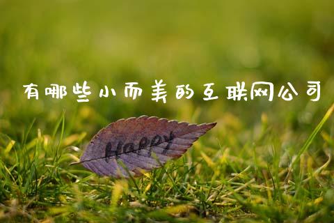 有哪些小而美的互联网公司_https://m.kuaijiepai.net_债券投资_第1张