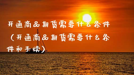 开通商品期货需要什么条件（开通商品期货需要什么条件和手续）_https://m.kuaijiepai.net_债券投资_第1张