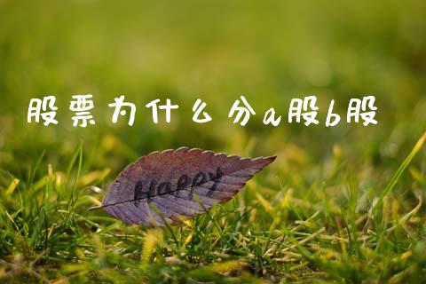 股票为什么分a股b股_https://m.kuaijiepai.net_债券投资_第1张