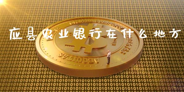 应县农业银行在什么地方_https://m.kuaijiepai.net_股票交易_第1张