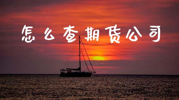 怎么查期货公司_货币基金_第1张_货币基金_债券投资_股票交易_资产证券化 怎么查期货公司_https://m.kuaijiepai.net_货币基金_第1张