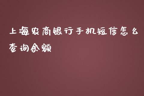 上海农商银行手机短信怎么查询余额_https://m.kuaijiepai.net_债券投资_第1张