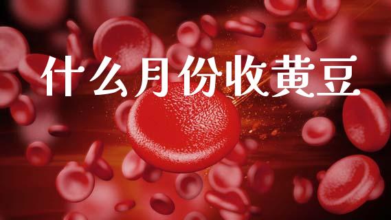 什么月份收黄豆_https://m.kuaijiepai.net_资产证券化_第1张