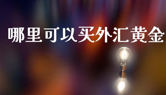 哪里可以买外汇黄金_https://m.kuaijiepai.net_债券投资_第1张