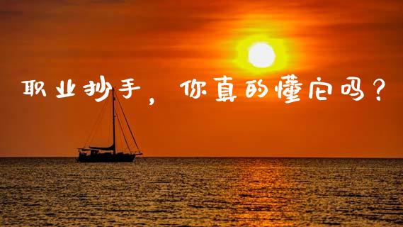 职业抄手，你真的懂它吗？_https://m.kuaijiepai.net_货币基金_第1张