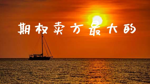 期权卖方最大的_https://m.kuaijiepai.net_资产证券化_第1张