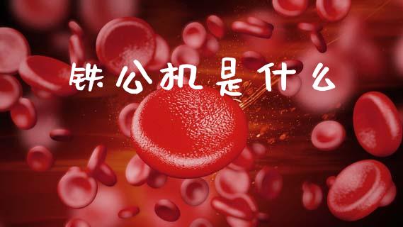 铁公机是什么_https://m.kuaijiepai.net_债券投资_第1张