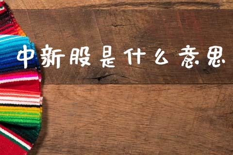 中新股是什么意思_https://m.kuaijiepai.net_货币基金_第1张