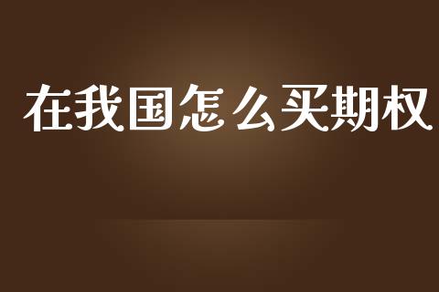 在我国怎么买期权_https://m.kuaijiepai.net_债券投资_第1张