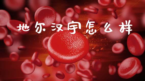 地尔汉宇怎么样_https://m.kuaijiepai.net_货币基金_第1张