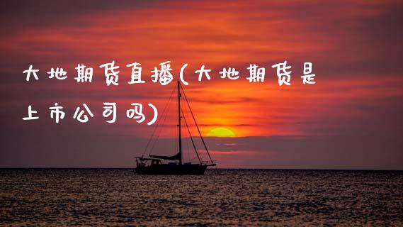 大地期货直播(大地期货是上市公司吗)_https://m.kuaijiepai.net_资产证券化_第1张