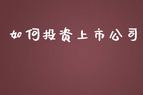 如何投资上市公司_https://m.kuaijiepai.net_资产证券化_第1张