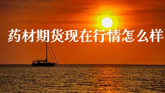 药材期货现在行情怎么样_https://m.kuaijiepai.net_债券投资_第1张