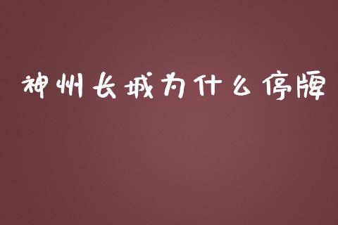 神州长城为什么停牌_https://m.kuaijiepai.net_债券投资_第1张